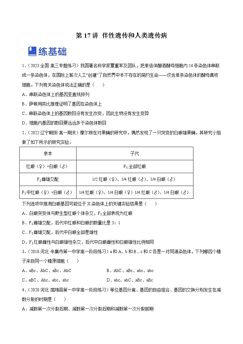 【备战2023高考】生物总复习——专题17《伴性遗传和人类遗传病》讲与练（原卷版）第1页