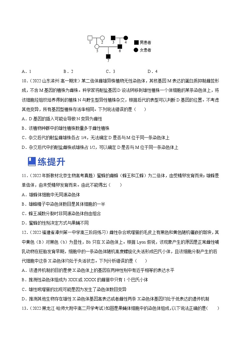 【备战2023高考】生物总复习——专题17《伴性遗传和人类遗传病》讲与练（原卷版）第3页