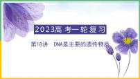 【备战2023高考】生物总复习——专题18《DNA是主要的遗传物质》课件（新教材新高考）