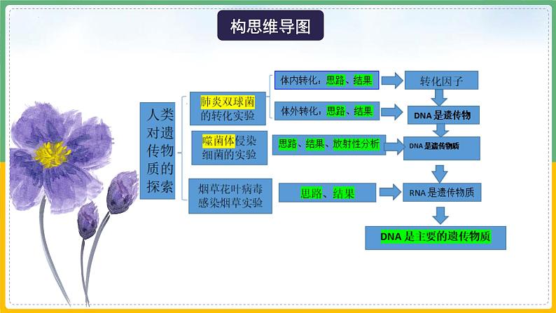 【备战2023高考】生物总复习——专题18《DNA是主要的遗传物质》课件（新教材新高考）06