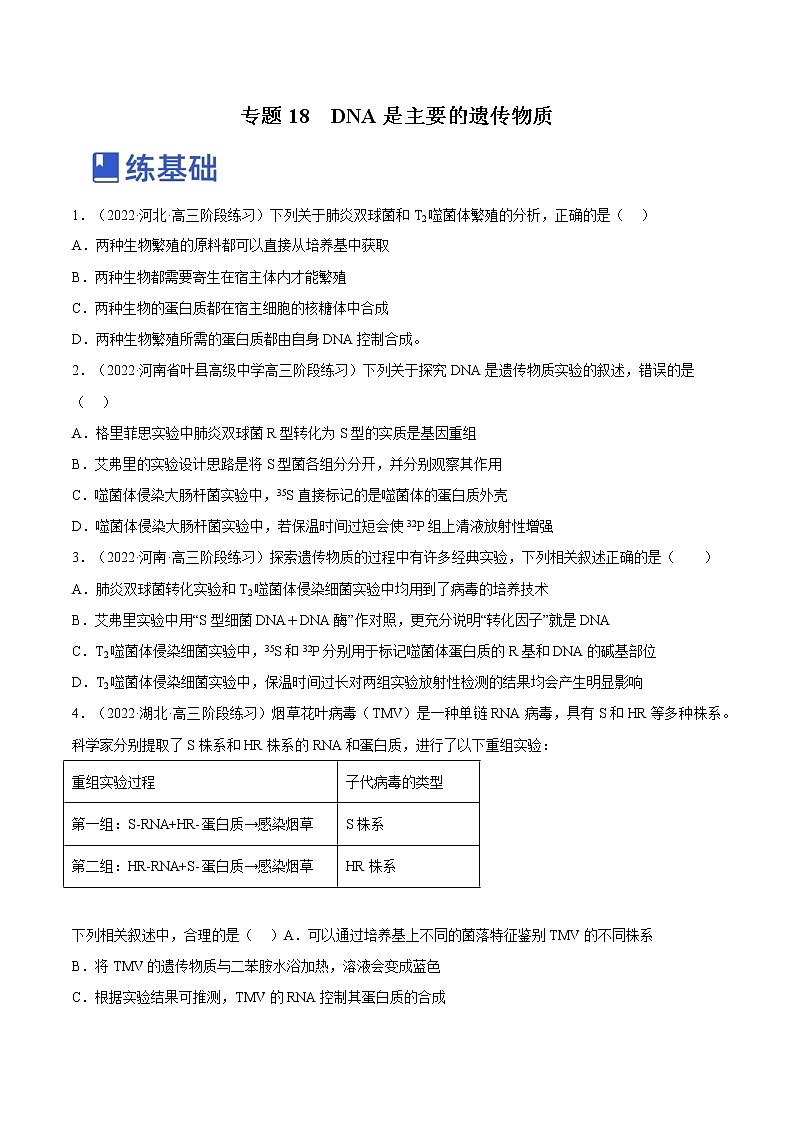 【备战2023高考】生物总复习——专题18《DNA是主要的遗传物质》讲与练（原卷版）第1页