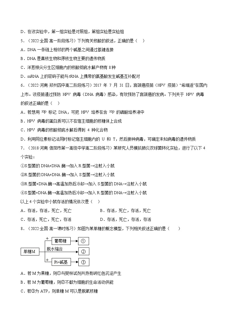 【备战2023高考】生物总复习——专题18《DNA是主要的遗传物质》讲与练（原卷版）第2页