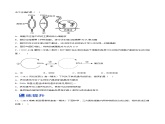 【备战2023高考】生物总复习——专题20《基因的表达及基因与性状的关系》练习（新教材新高考）