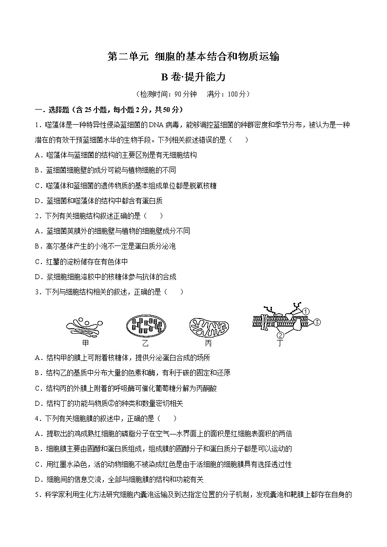 【备战2023高考】生物总复习——第二单元《细胞的基本结构和物质运输》检测卷（B卷·提升能力）（原卷版）第1页