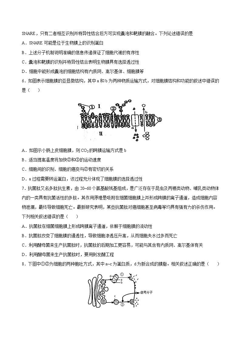 【备战2023高考】生物总复习——第二单元《细胞的基本结构和物质运输》检测卷（B卷·提升能力）（原卷版）第2页