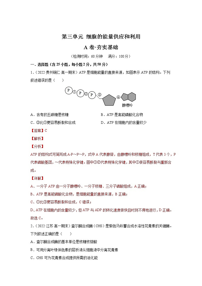 【备战2023高考】生物总复习——第三单元《细胞的能量供应和利用》检测卷（A卷·夯实基础）（解析版）第1页