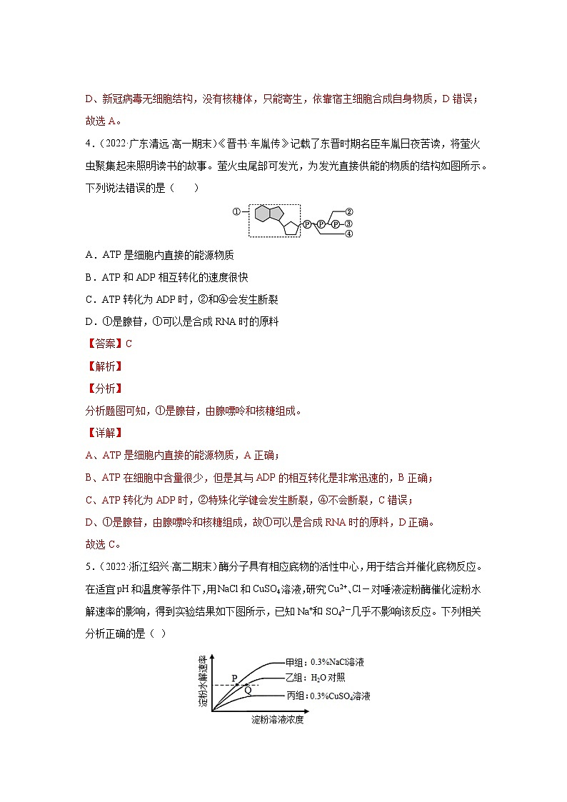 【备战2023高考】生物总复习——第三单元《细胞的能量供应和利用》检测卷（A卷·夯实基础）（解析版）第3页