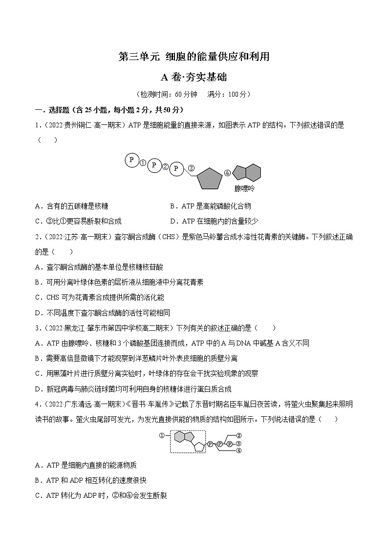 【备战2023高考】生物总复习——第三单元《细胞的能量供应和利用》检测卷（A卷·夯实基础）（原卷版）第1页