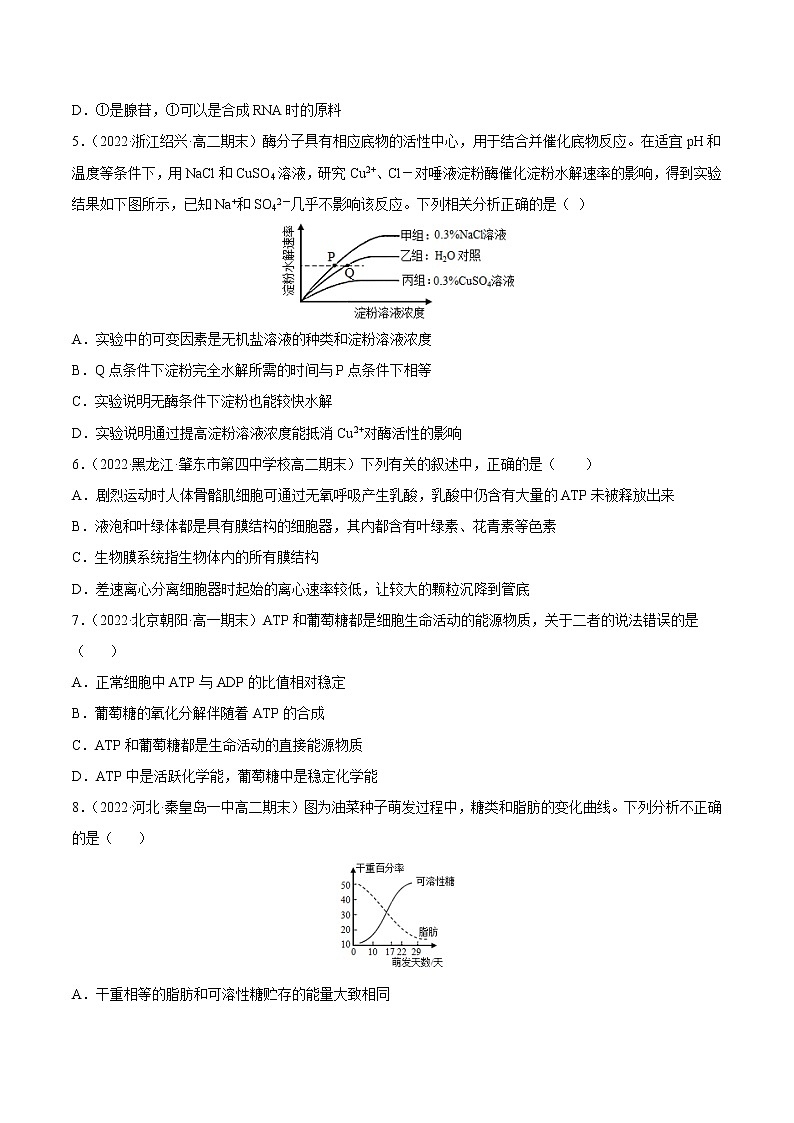 【备战2023高考】生物总复习——第三单元《细胞的能量供应和利用》检测卷（A卷·夯实基础）（原卷版）第2页