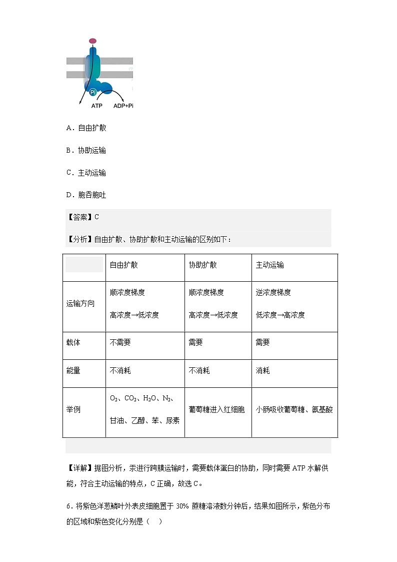 2019-2020学年上海市虹口区上海市复兴高级中学高二上学期期末生物试题含解析03