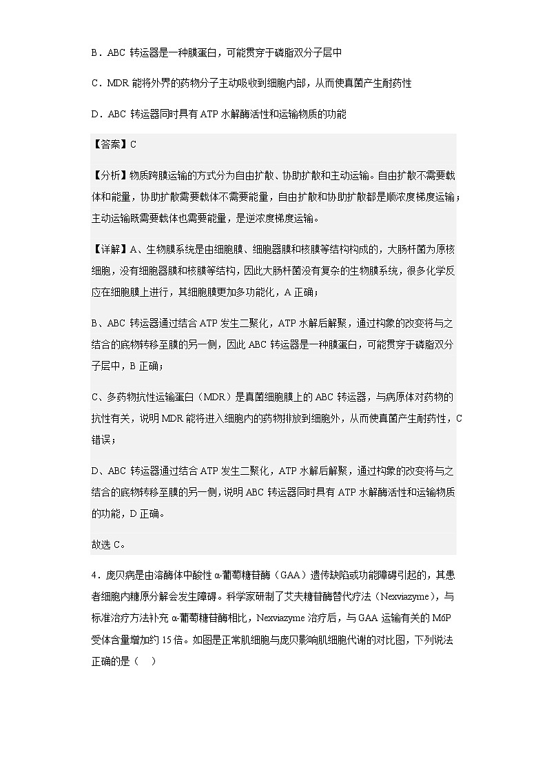 2021-2022学年山东省青岛市三区市高二下学期期末生物试题含解析03