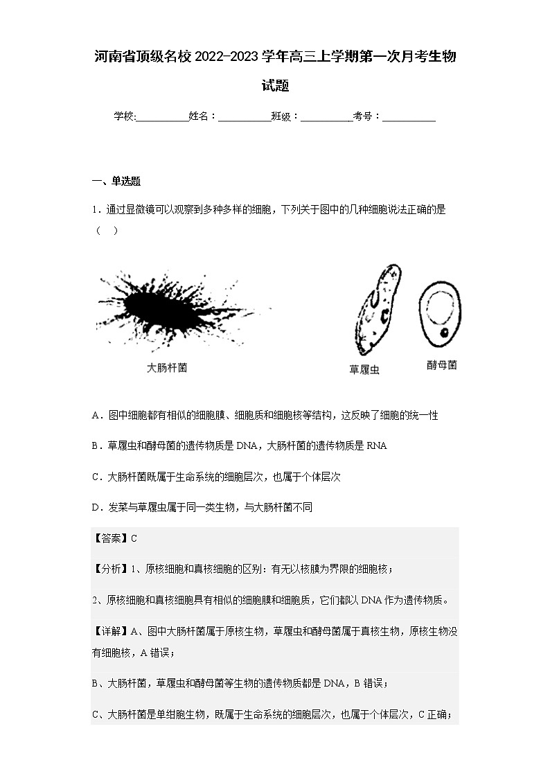 2022-2023学年河南省顶级名校高三上学期第一次月考生物试题含解析01