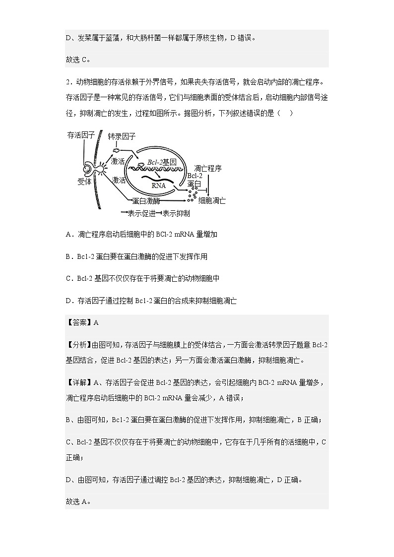 2022-2023学年河南省顶级名校高三上学期第一次月考生物试题含解析02