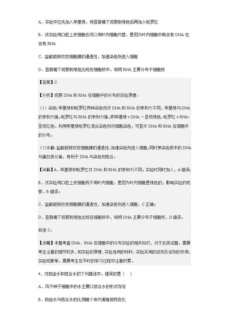 2022-2023学年河南省洛阳市一中高三9月月考生物试题含解析第3页