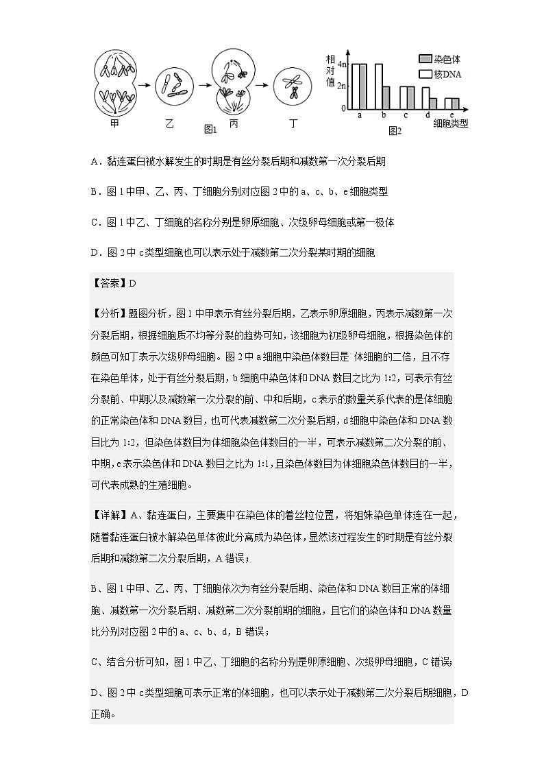 2022-2023学年湖南省衡阳市祁东县育贤中学高三上学期第一次月考生物试题含解析第3页