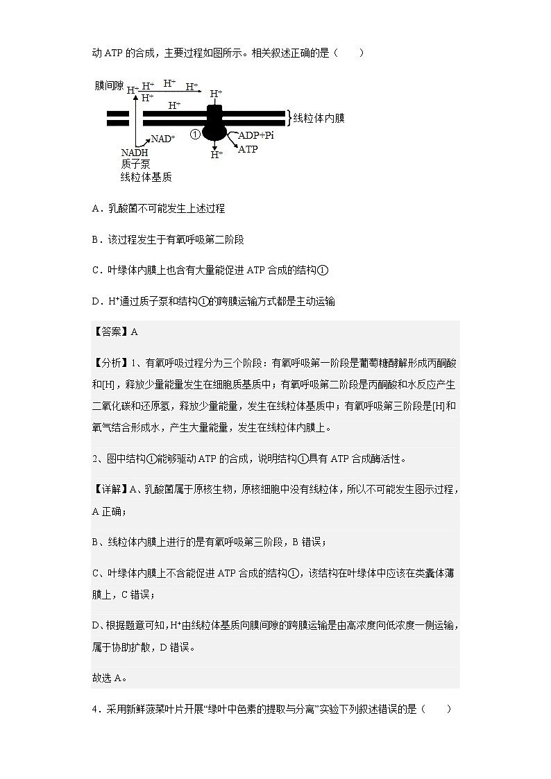 2022-2023学年江苏省海安市实验中学高三9月月考生物试题含解析03