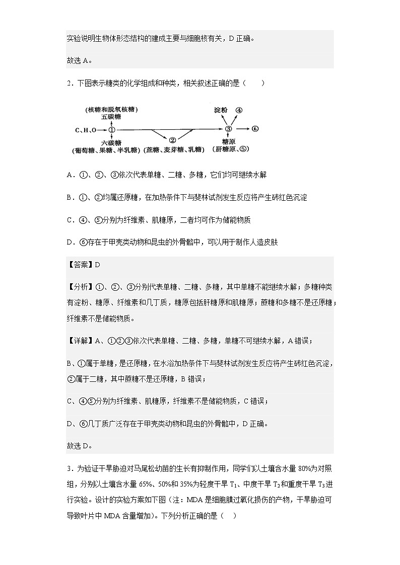 2022-2023学年山东省泰安市一中老校区（新泰中学）高三上学期第一次月考生物试题含解析第2页
