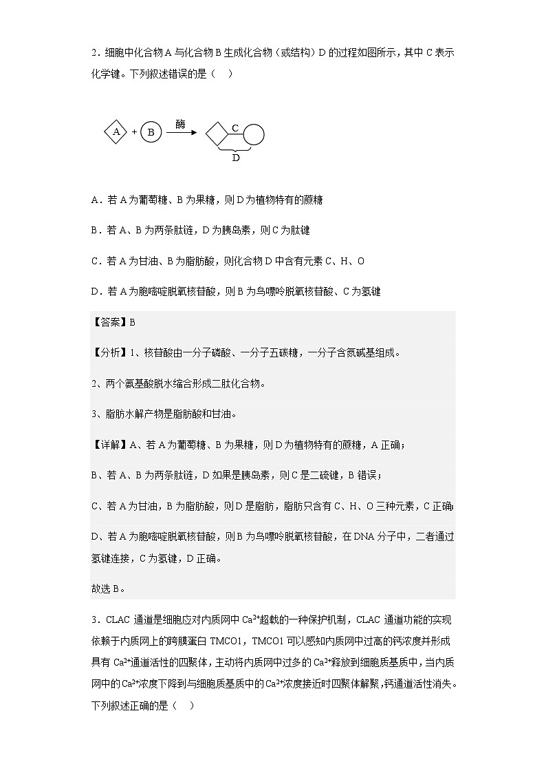 2022-2023学年重庆市城口中学高三上学期第二次月考生物试题含解析02