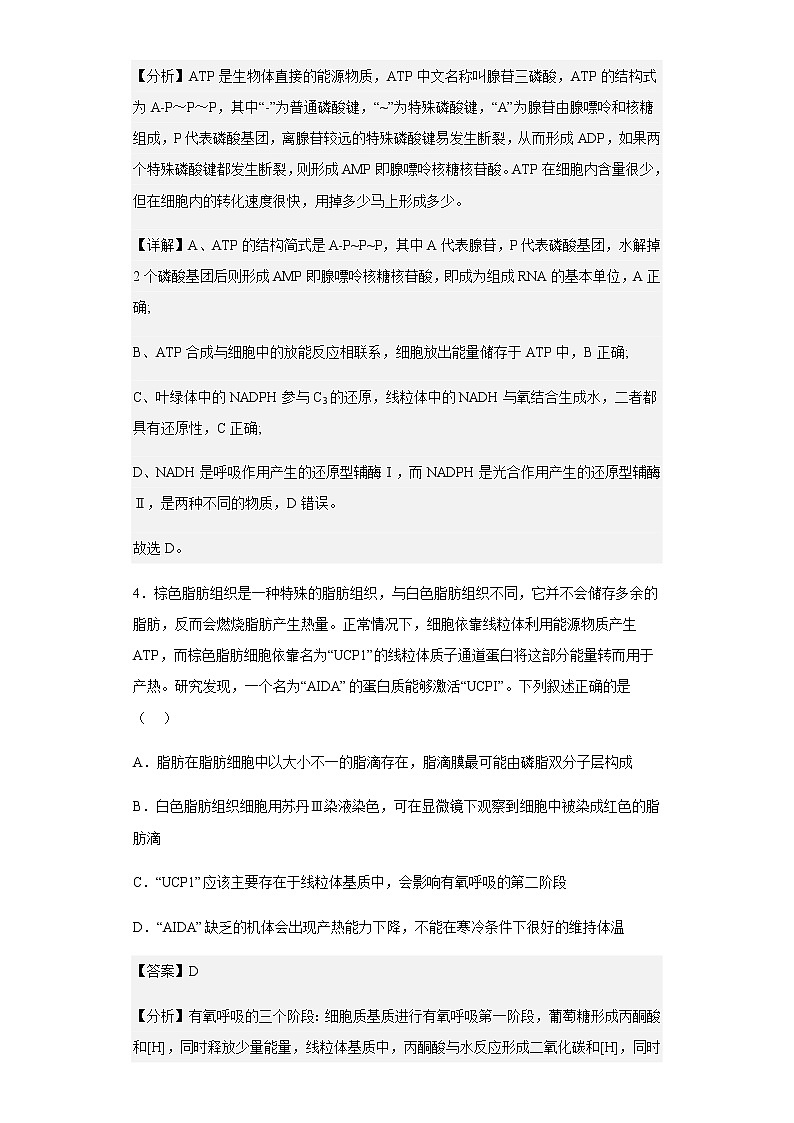 2022-2023学年重庆市璧山来凤中学校高三10月月考生物试题含解析03