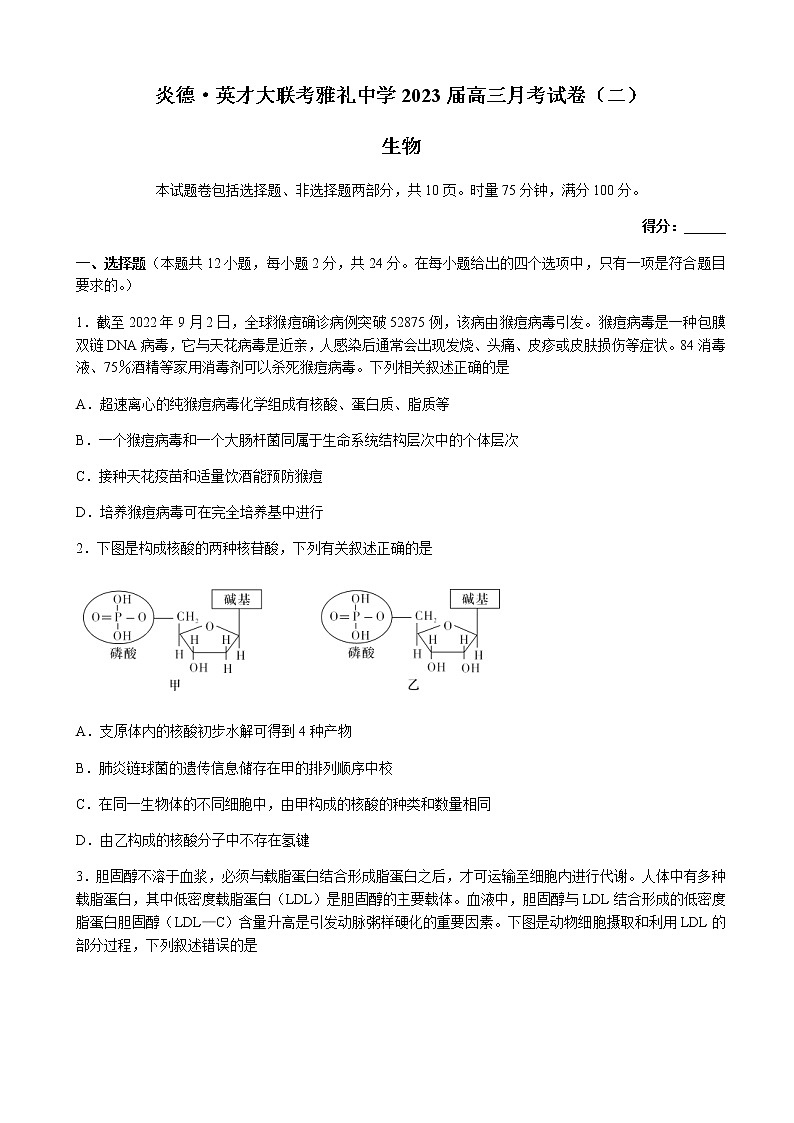 2023届湖南省长沙市雅礼中学高三上学期月考（二）生物试卷含解析01