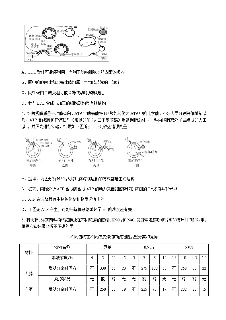 2023届湖南省长沙市雅礼中学高三上学期月考（二）生物试卷含解析02