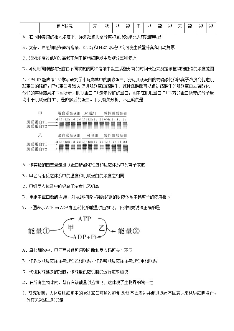 2023届湖南省长沙市雅礼中学高三上学期月考（二）生物试卷含解析03