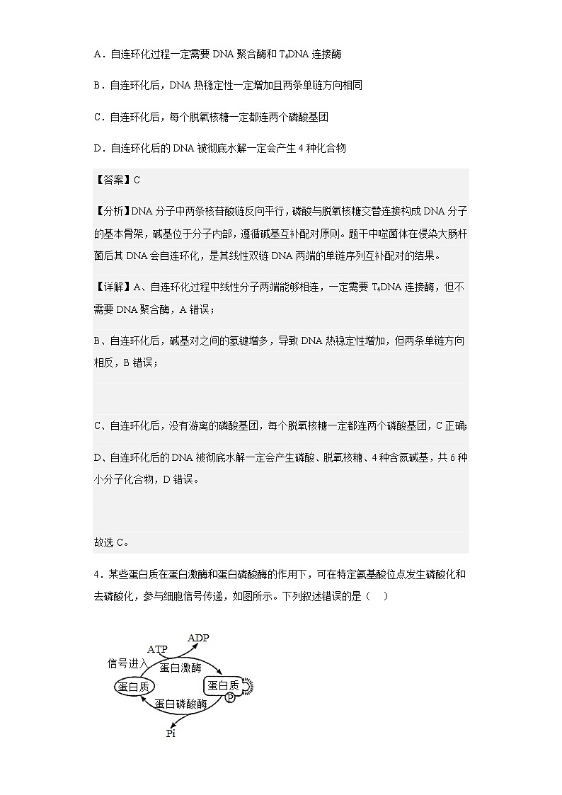 2023届重庆市一中高三9月月考生物试题含解析第3页