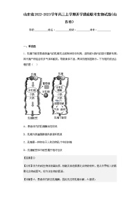 2022-2023学年山东省高三上学期开学摸底联考生物试题（山东卷）含解析