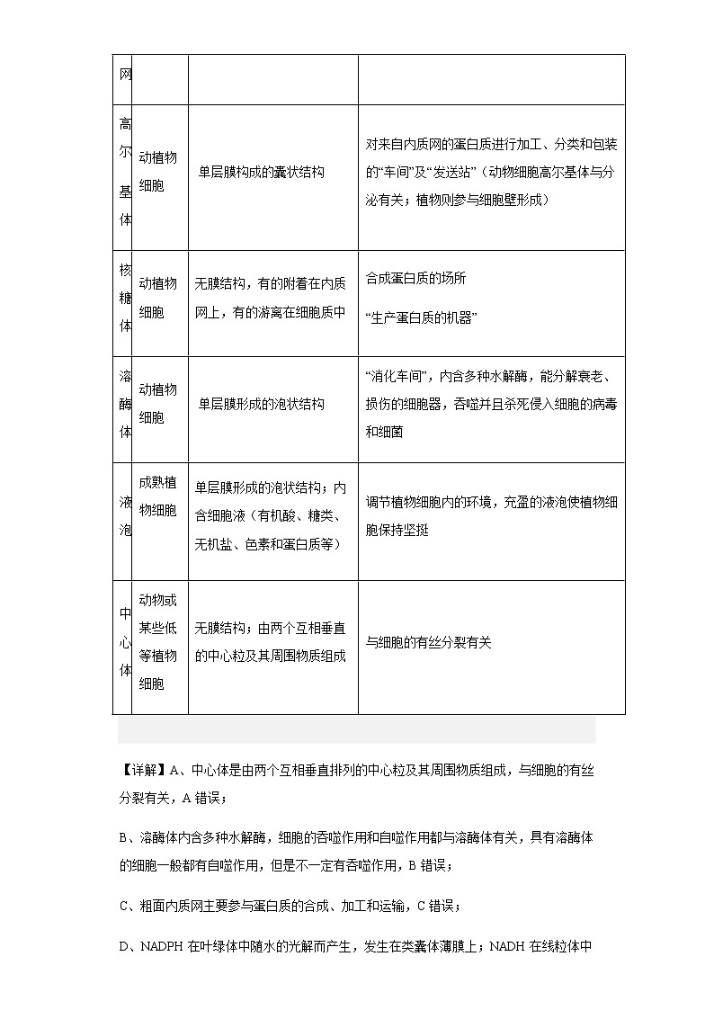 2022-2023学年山东省枣庄市三中高三上学期开学考试生物试题含解析第2页