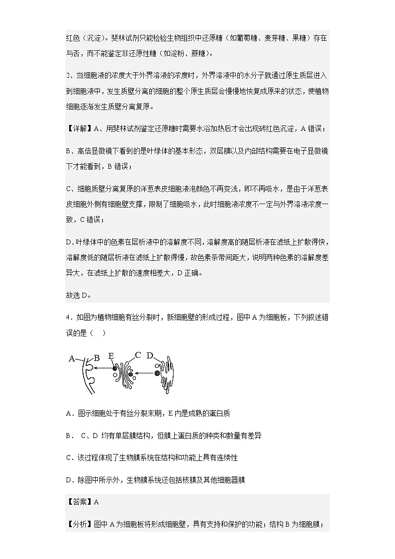 2022-2023学年福建省泉州市一中、南安一中高三上学期期中生物试题含解析第3页
