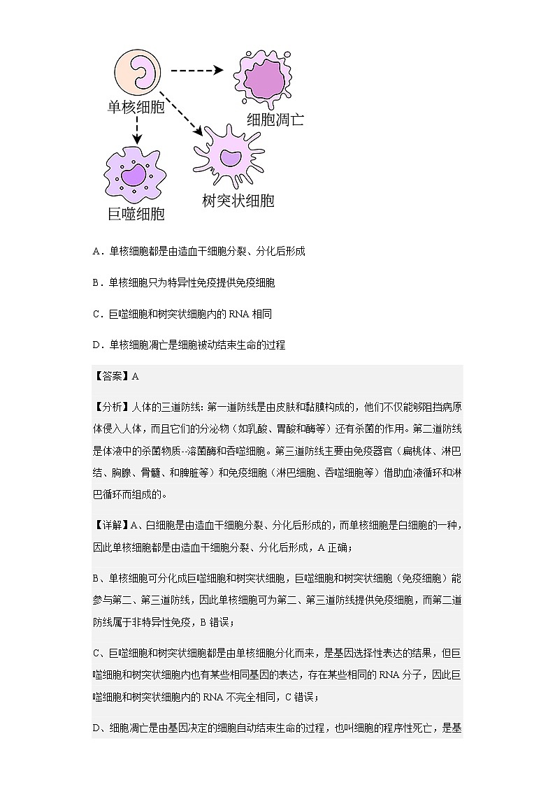 2022-2023学年江苏省淮安市马坝高级中学高三9月质量检测生物试题含解析第3页