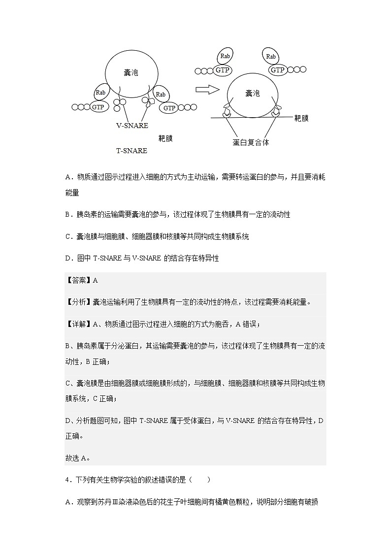 2022-2023学年山西省长治市高三9月质量检测生物试题含解析03