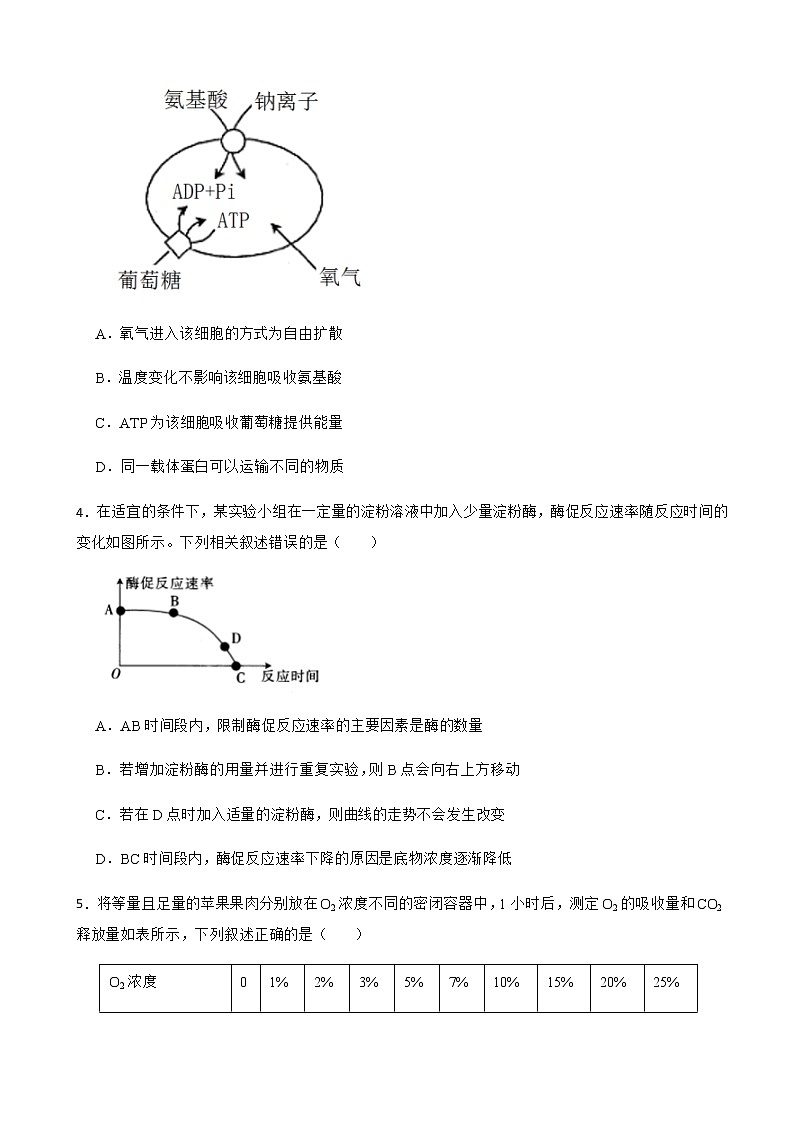 2022届湖北省新高考联考协作体高三2月联考生物含解析第2页