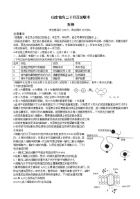 2023届山东省高三上学期10月百校联考生物试题含答案