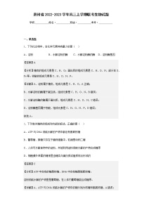 2022-2023学年贵州省高三上学期联考生物试题含解析