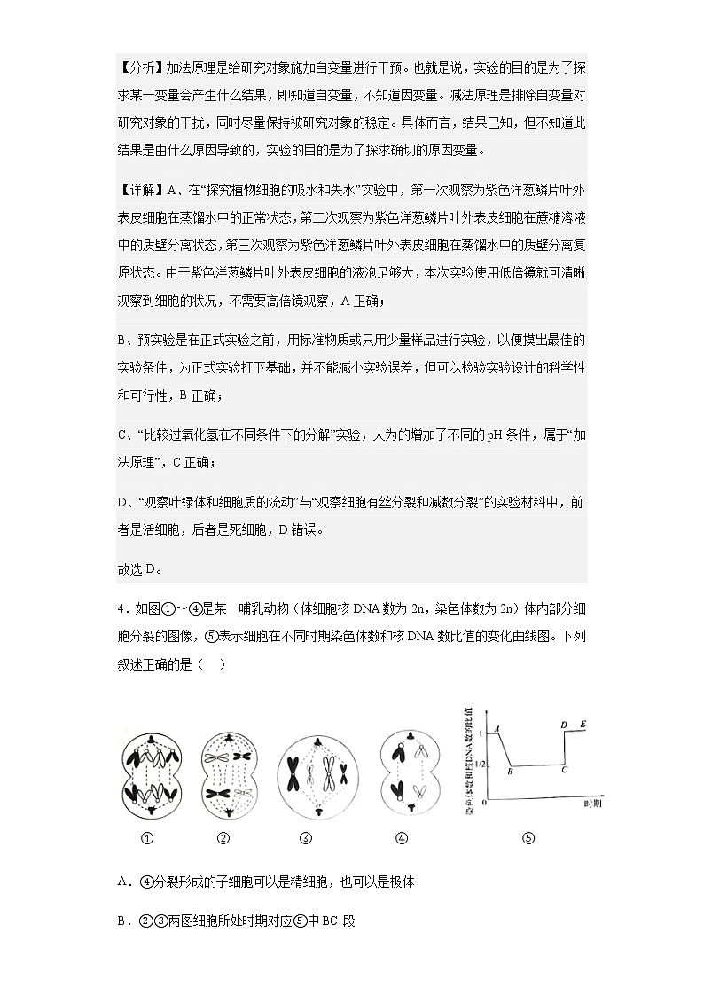 2022-2023学年河北省邯郸市高三上学期摸底考试生物试题含解析第3页
