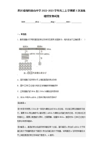 2022-2023学年四川省绵阳南山中学高三上学期第3次演练理综生物试题含解析