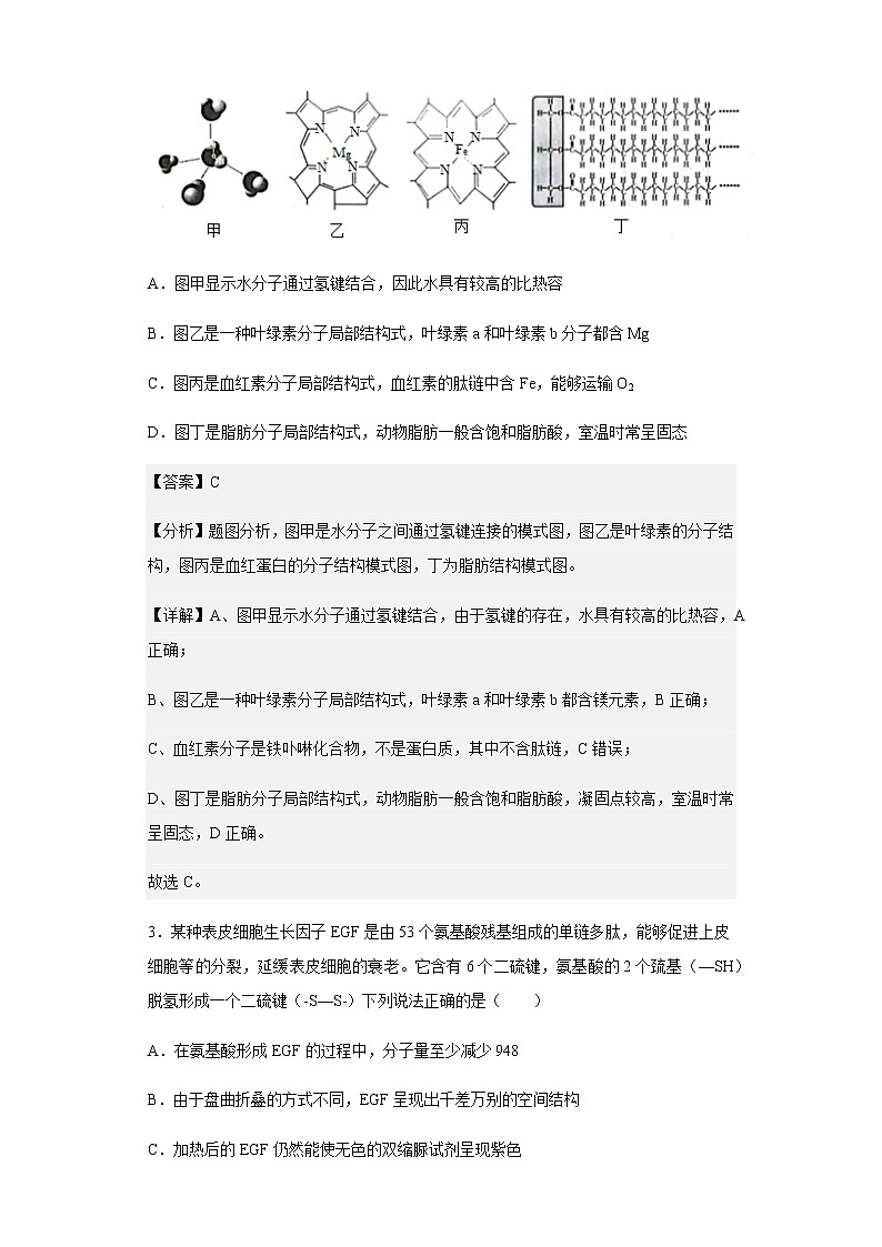 2023届重庆市南开中学高三第二次质量检测生物试题含解析02