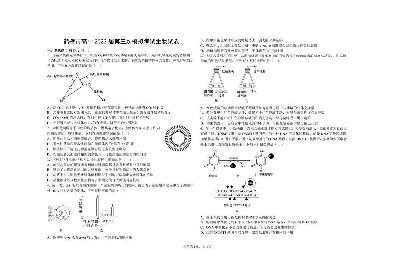 河南省鹤壁市高中2022-2023学年高三上学期第三次模拟考试生物试题01
