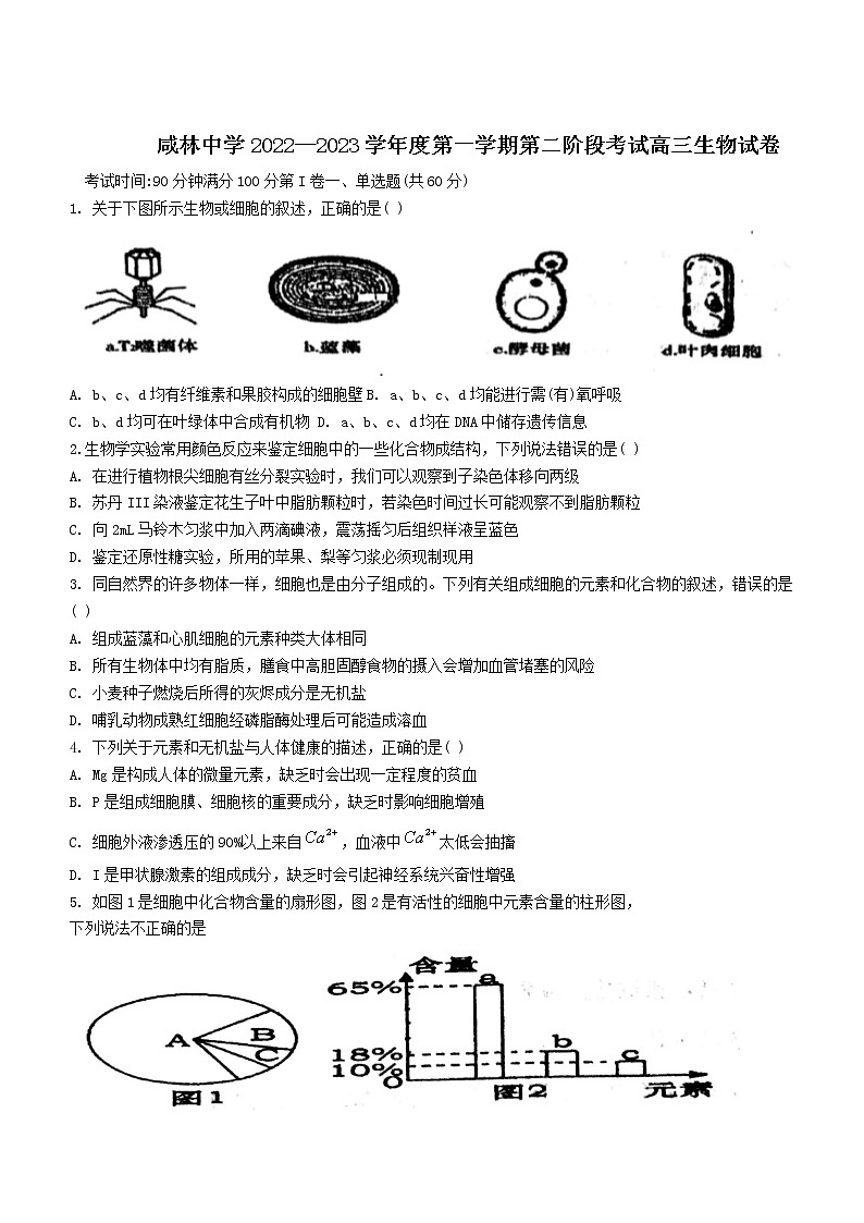 2023渭南华州区咸林中学高三上学期第二阶段考试生物试题含答案01