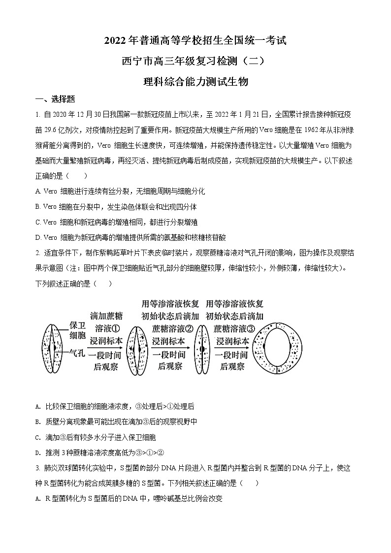 2022西宁高三高考二模理综生物含解析 试卷01
