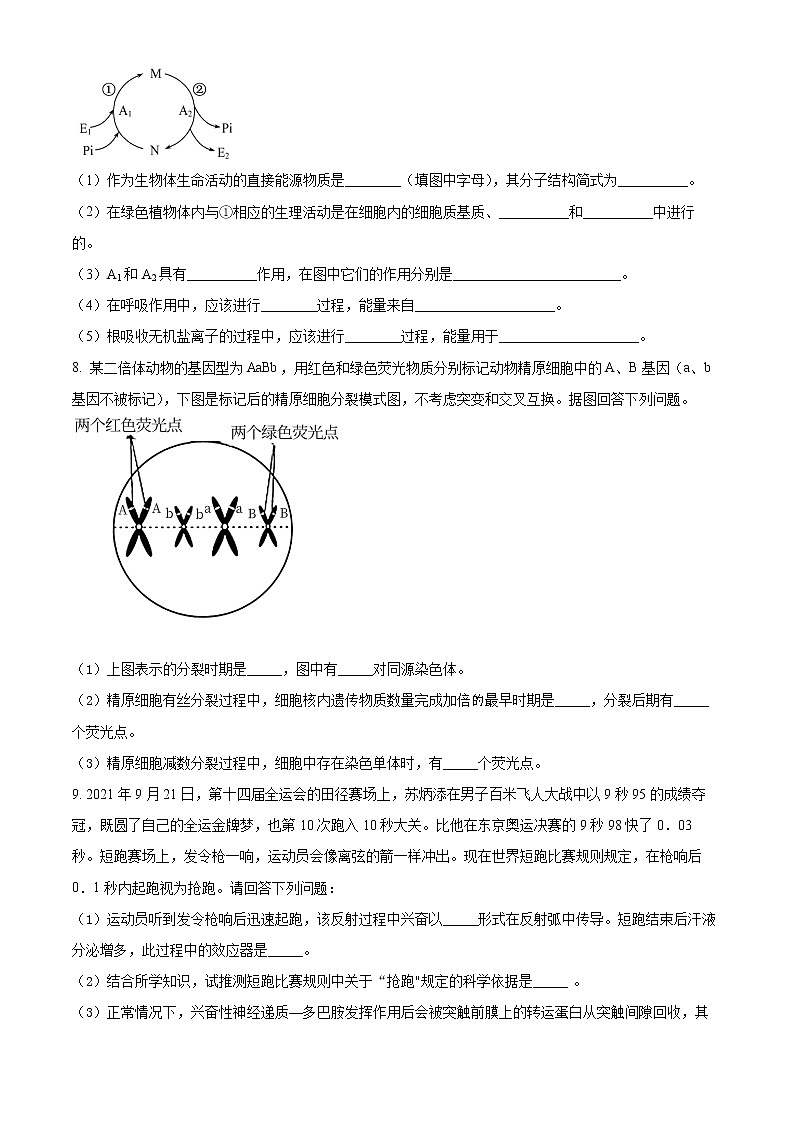2022西宁高三高考二模理综生物含解析 试卷03
