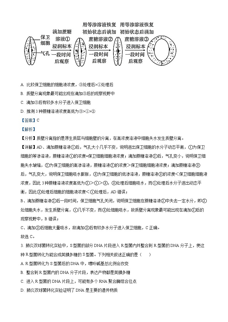 2022西宁高三高考二模理综生物含解析 试卷02