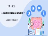 1.1 孟德尔的豌豆杂交实验（一）课件PPT+教案+同步练习