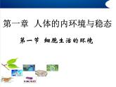高中生物精品课件1.1细胞生活的环境