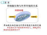 高中生物精品课件1.1细胞生活的环境