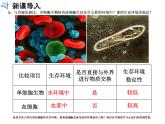 高中生物精品课件1.1细胞生活的环境