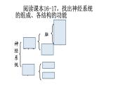高中生物精品课件 2.1神经调节的结构基础