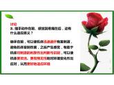 高中生物精品课件2.2神经调节的基本方式