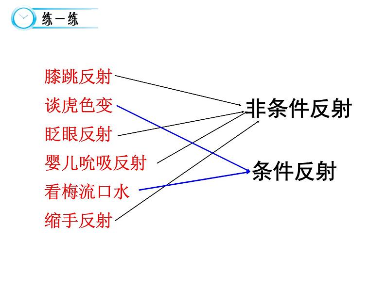 高中生物精品课件2.2神经调节的基本方式07